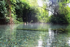 Hot Springs in Pai