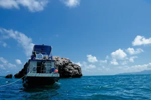 Sail Rock Diving Spot in Koh Tao